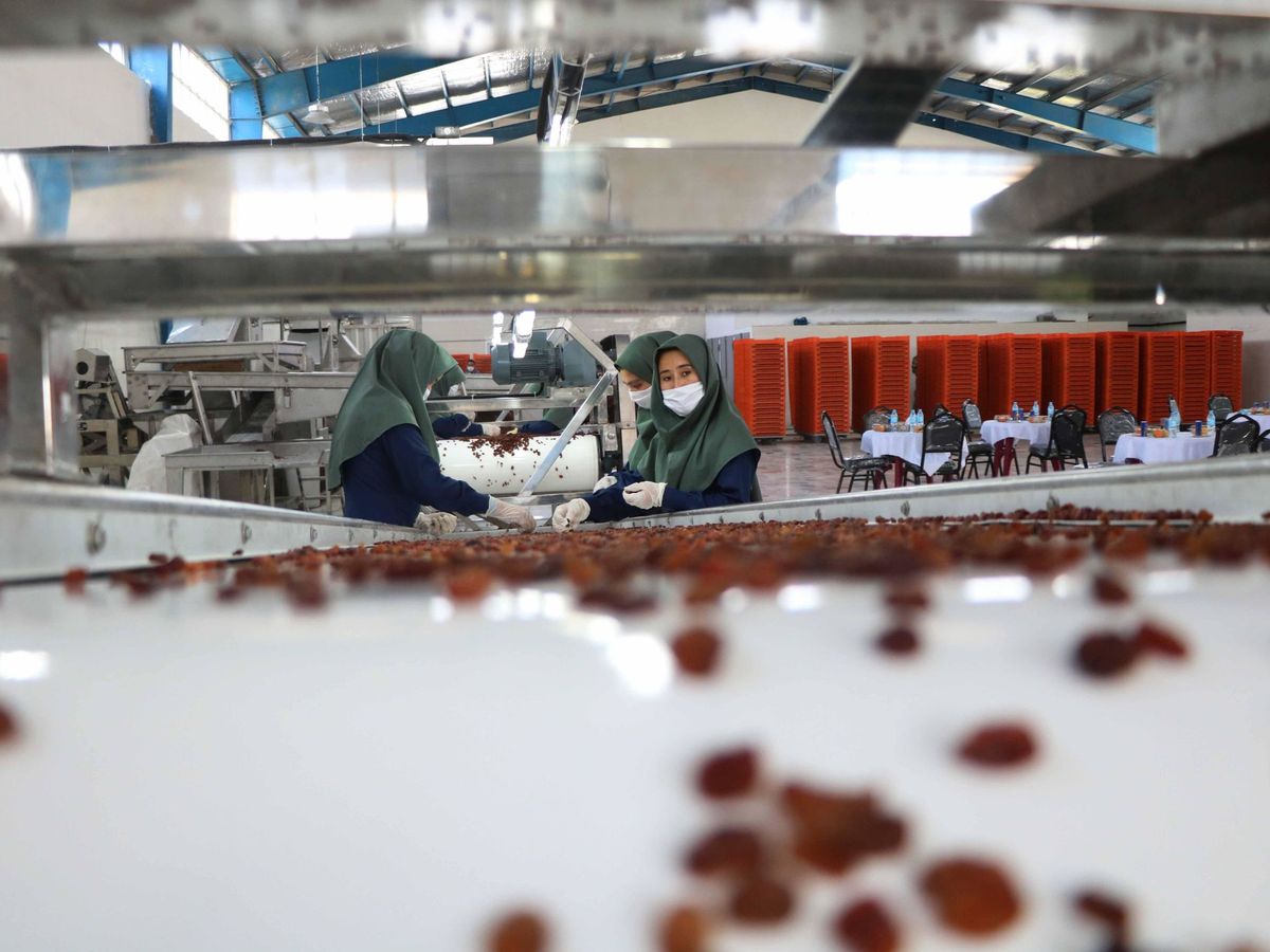Foto: Fábrica de procesado de uvas. (EFE)