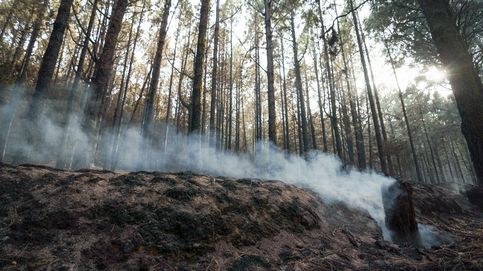 Estabilizado el incendio de Tenerife tras nueve días y 14.624 hectáreas quemadas