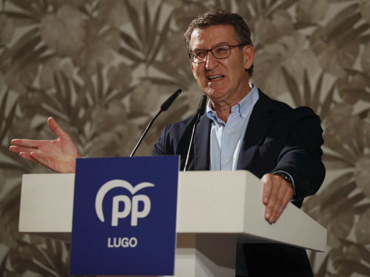Foto: El líder del PP, Alberto Núñez Feijóo. (EFE/Eliseo Trigo)