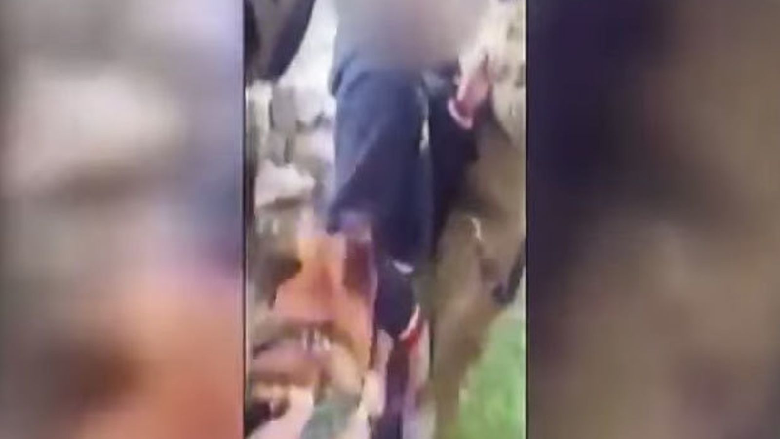 Foto: Imagen del ataque de uno de los perros contra el joven Hamzeh Abu Hashem, de 16 años