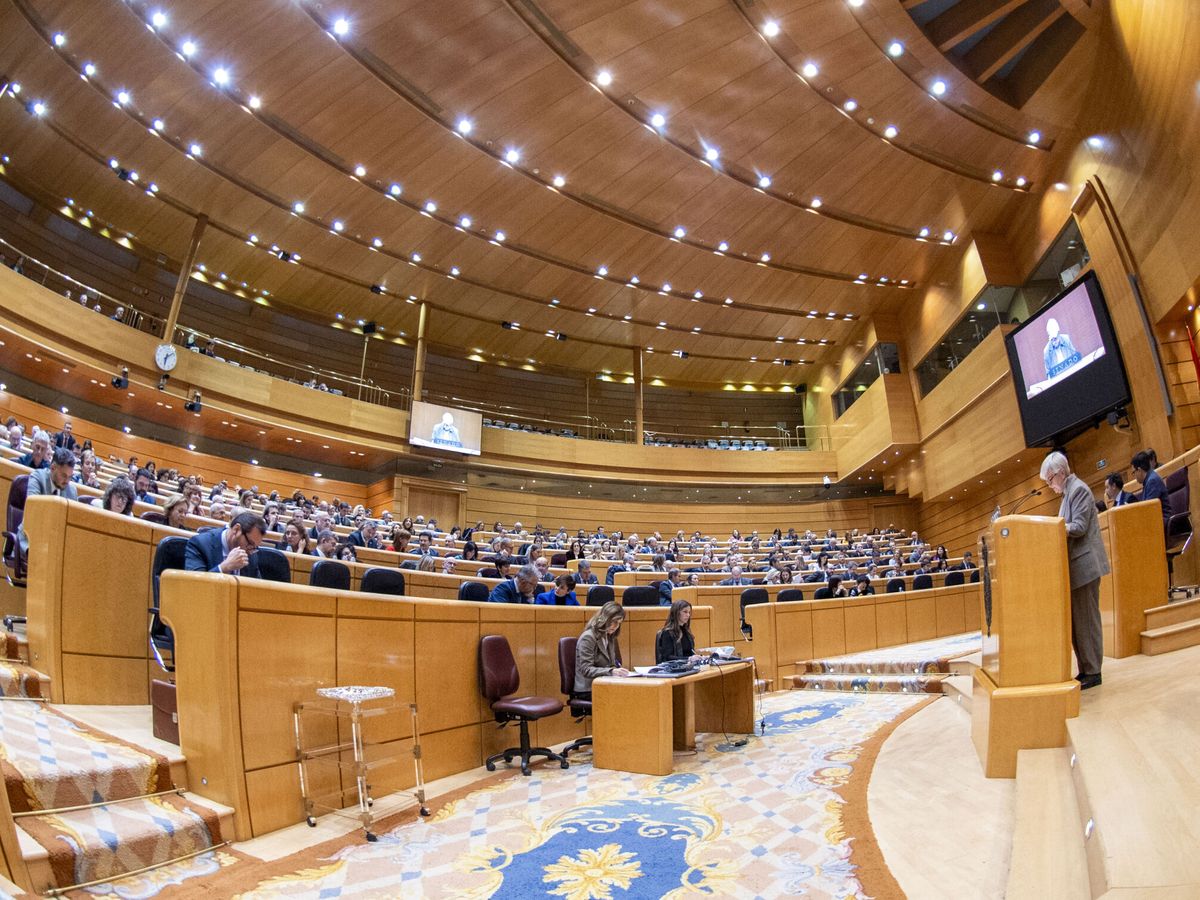 Foto: La reforma del artículo 49 de la Constitución será debatida esta semana en el Senado (EFE/FERNANDO VILLAR)