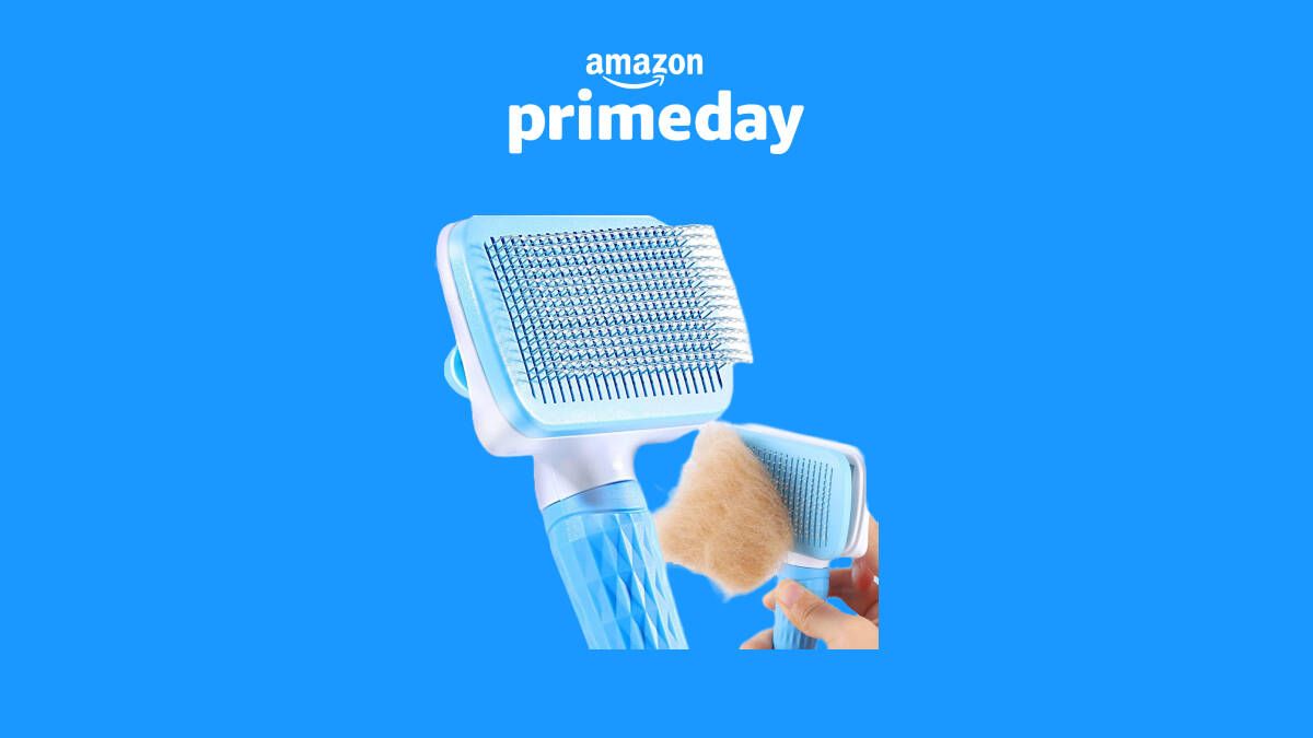Compra este Cepillo para perros y gatos a precio récord en Amazon Prime solo por hoy
