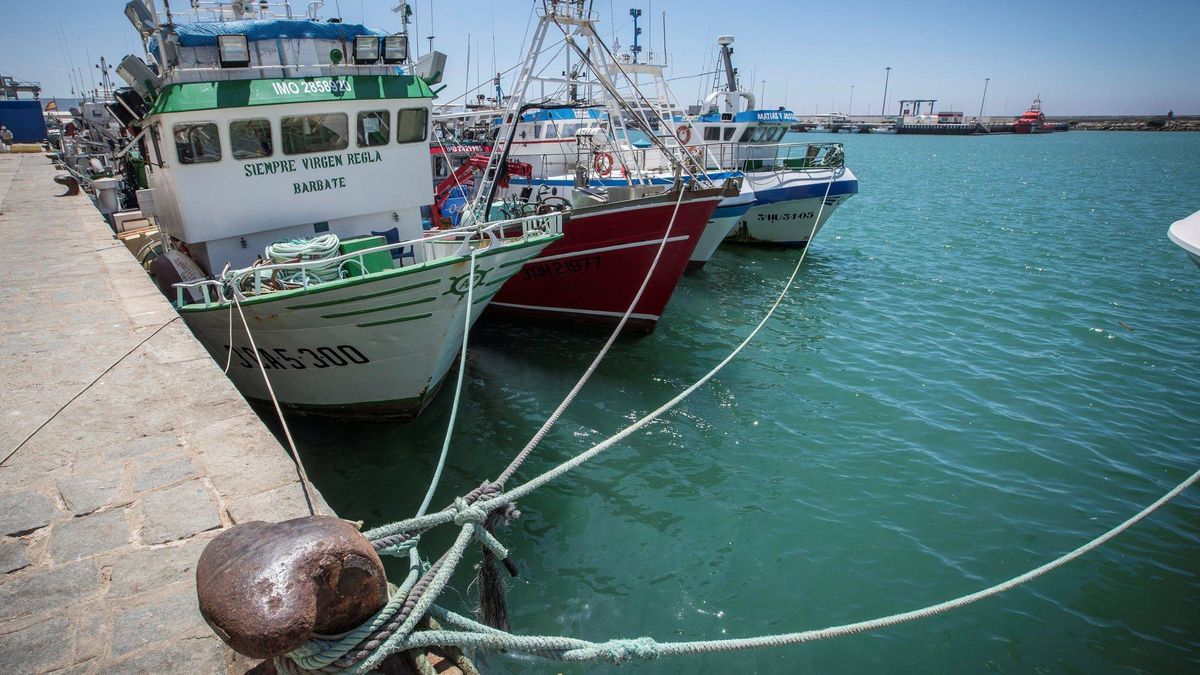 El precio del combustible impide que el 50% de la flota pesquera andaluza salga al mar