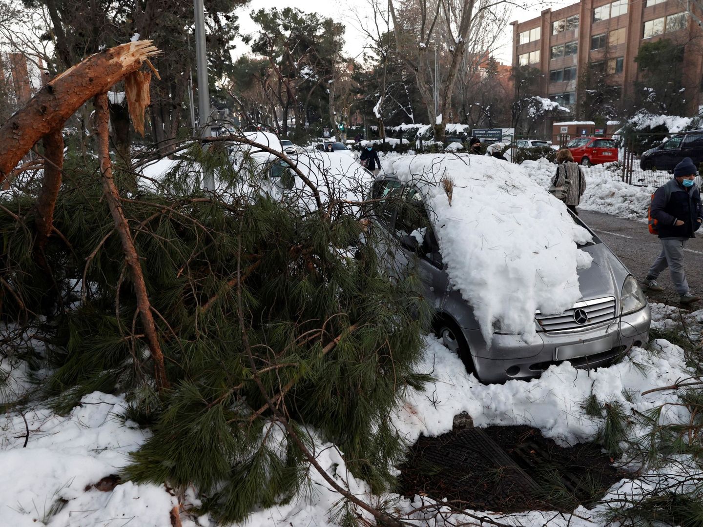 Ramas caídas de un árbol junto a un coche como consecuencia de la borrasca Filomena este pasado miércoles en la calle de Arturo Soria. (EFE)