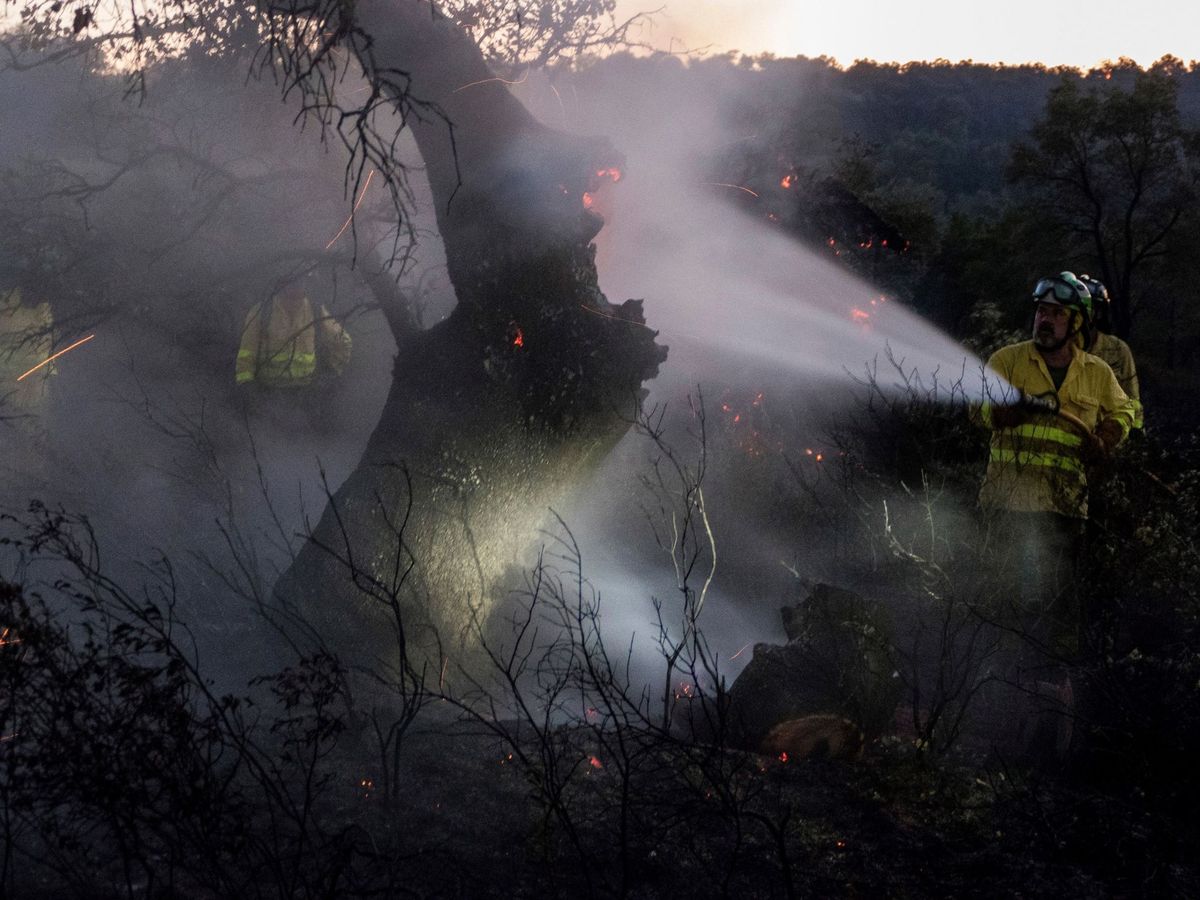 Foto: Imagen de archivo de un bombero forestal trabajando en un incendio en Huelva. (EFE/David Arjona)