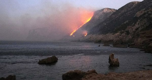 Foto: El incendio de Jávea del año pasado arrasó parajes naturales de costa. (EFE)