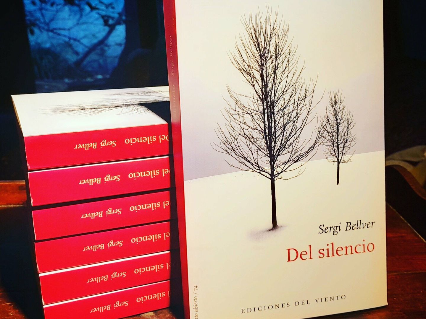 La novela 'Del silencio' 