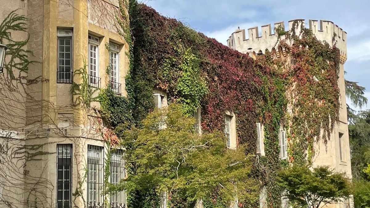 "Lo mejor son los jardines": la historia y el frágil estado de El Rincón, el palacio de la familia Falcó