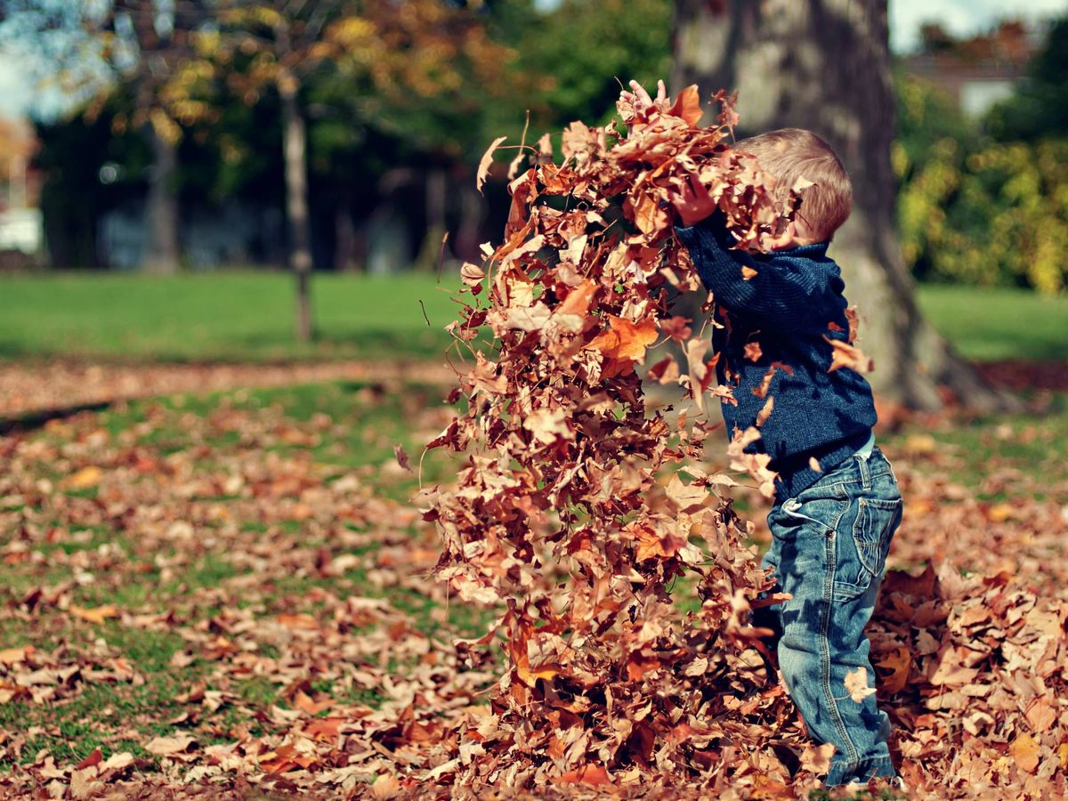 Foto: Planes con niños para hacer gratis al aire libre este otoño. (Scott Webb para Unsplash)