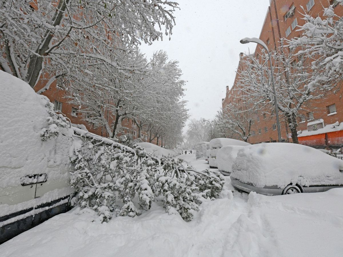 Foto: La caída de los árboles y la acumulación de nieve hacía intransitables las calles de Madrid cuando los policías tuvieron que recorrer cuatro kilómetros. (EFE)