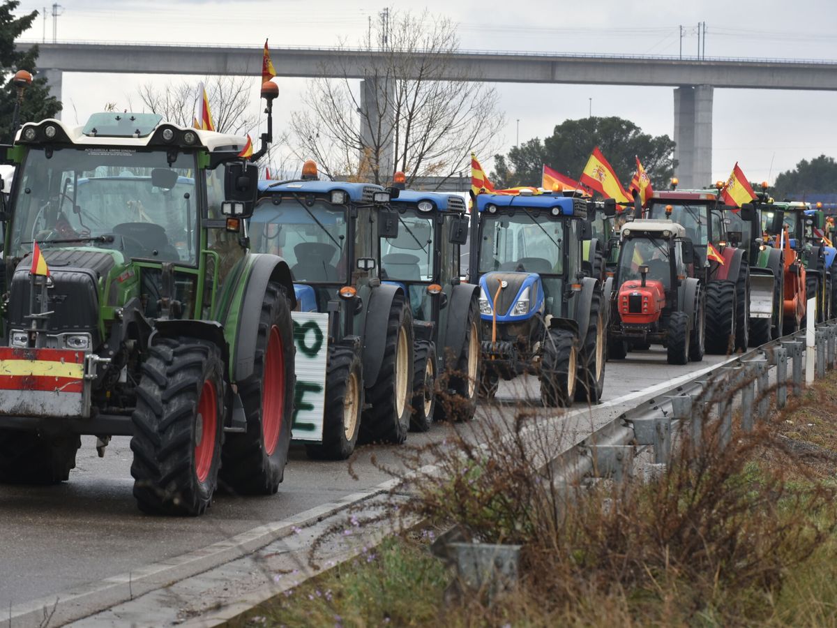Foto: Protestas de ganaderos y agricultores en Zaragoza. (Europa Press/Ramón Comet)