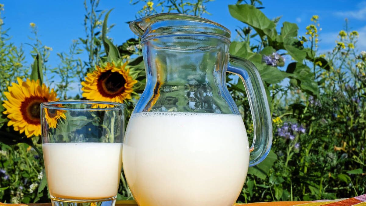 Engorda, sienta mal... Mitos y verdades sobre el consumo de leche y productos lácteos