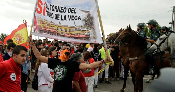 Foto: Manifestantes a favor de continuar con la tradición del Toro de la Vega. (Reuters)