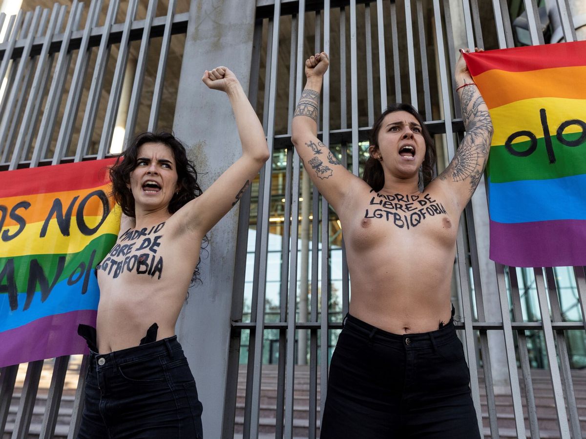 Foto: Activistas de Femen protestan a las puertas de la Asamblea de Madrid contra la Ley autonómica de Igualdad propuesta por Vox. (EFE/Rodrigo Jiménez)