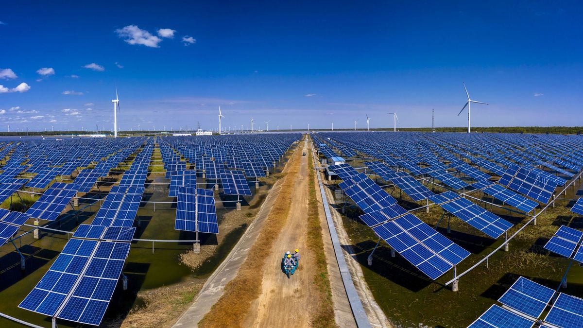 El sector renovable plantea ventas por más de 12.000 M ante la fiebre inversora verde