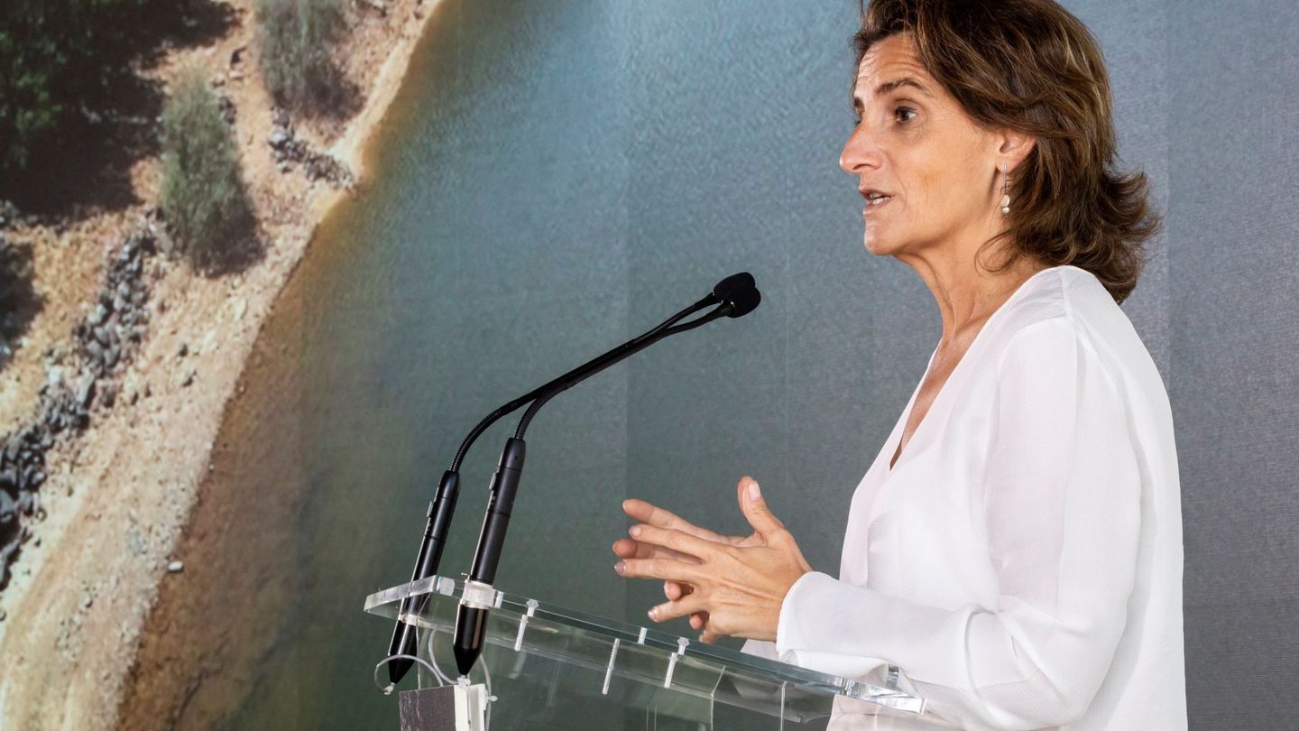Teresa Ribera, ministra para la Transición Ecológica. (EFE)