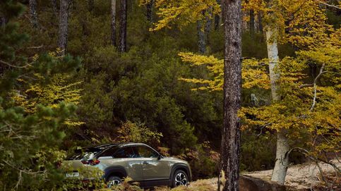 Repoblar bosques en Soria, la iniciativa de Mazda para lograr el ‘net zero’ 