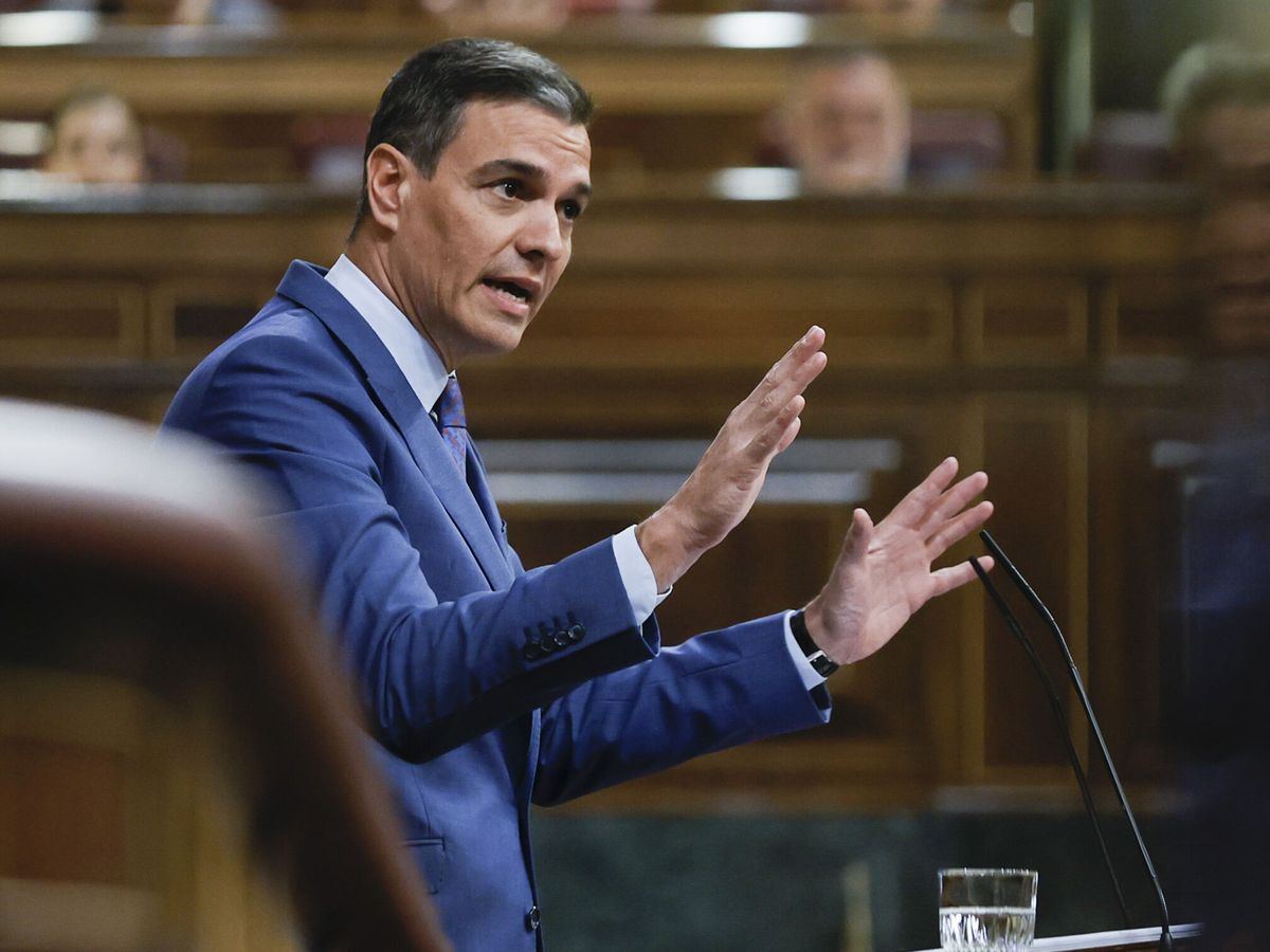 Foto: Pedro Sánchez, en una comparecencia en el Congreso. (EFE/Emilio Naranjo)