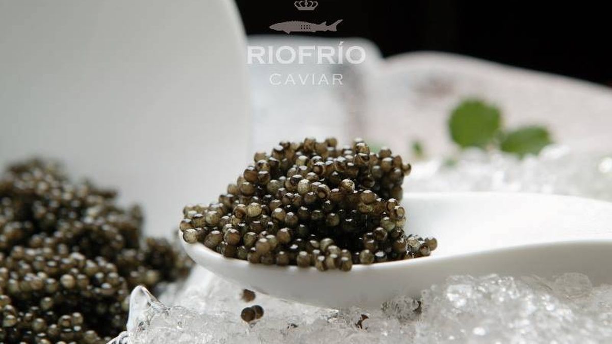 Así se hace el único caviar ecológico y español