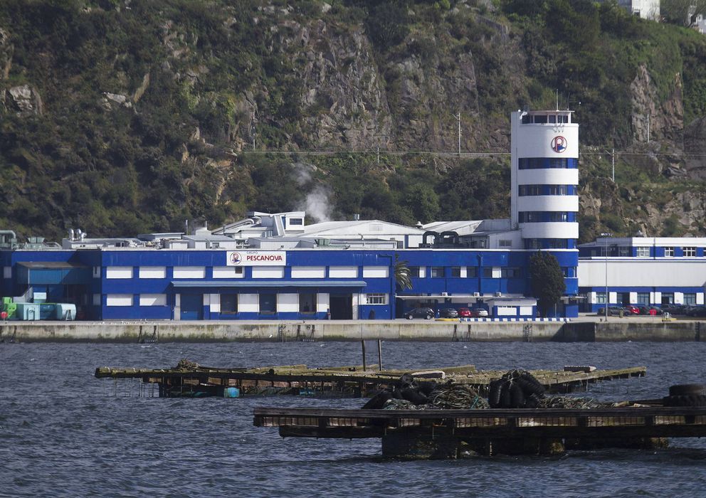 Foto: Factoría de Pescanova en la ría de Vigo. (EFE)