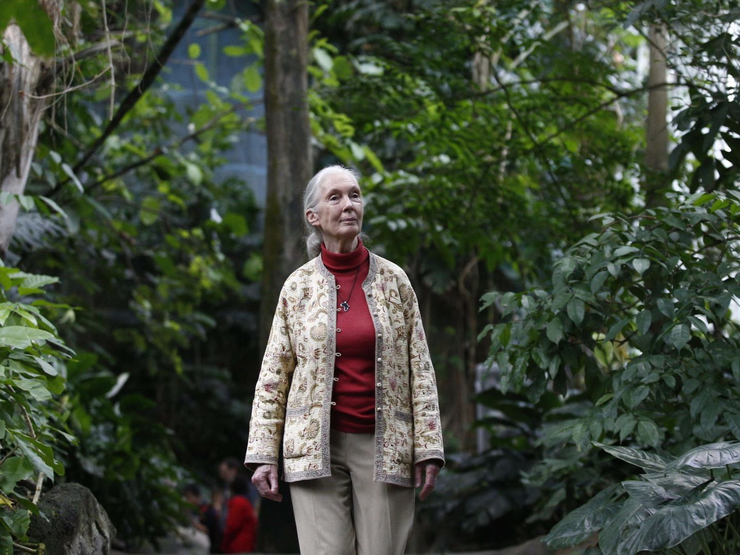 La divulgadora ambiental y primatóloga Jane Goodall (EFE/A.García)