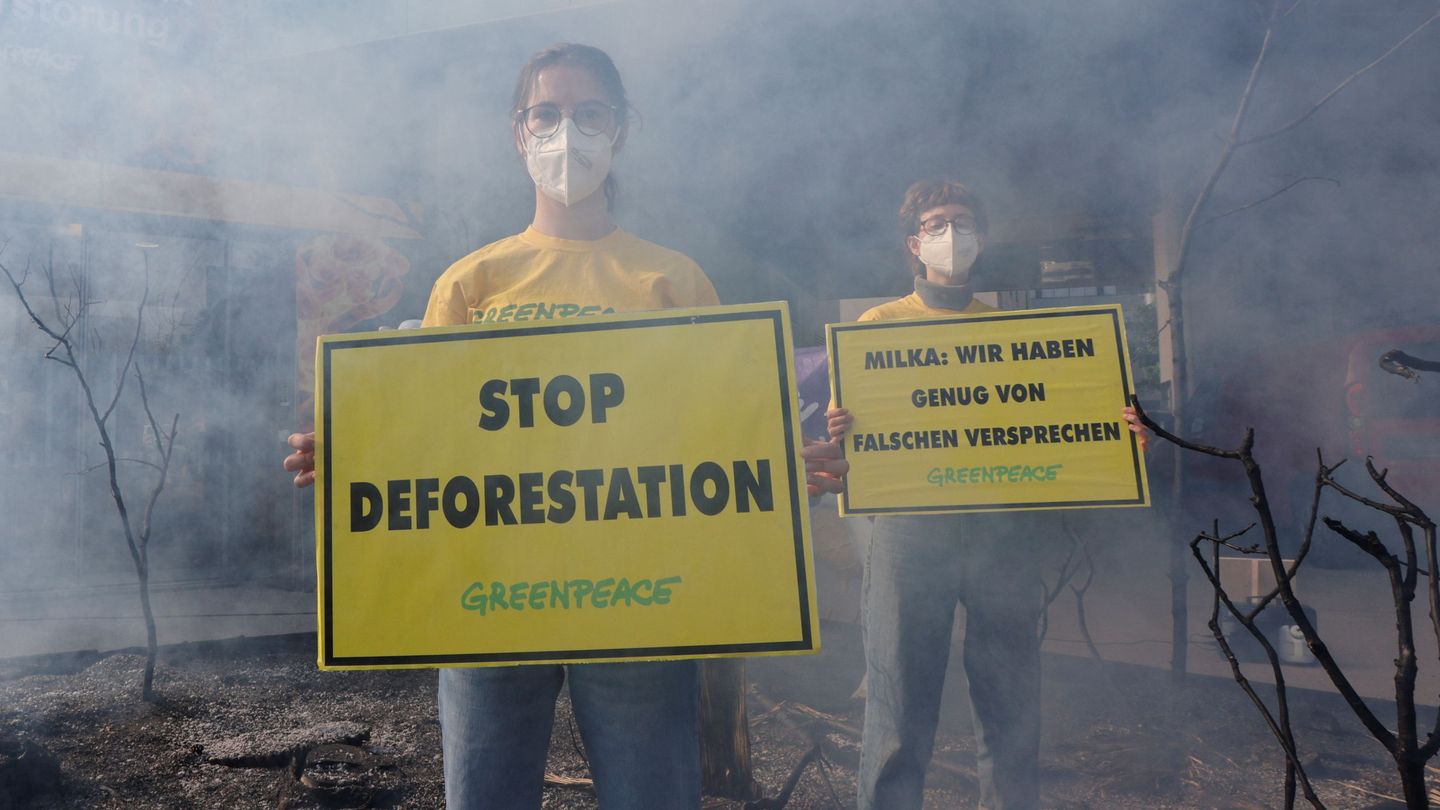 Protesta de Greenpeace contra la deforestación del Amazonas en Viena, Austria. (REUTERS/Leonhard Foeger)