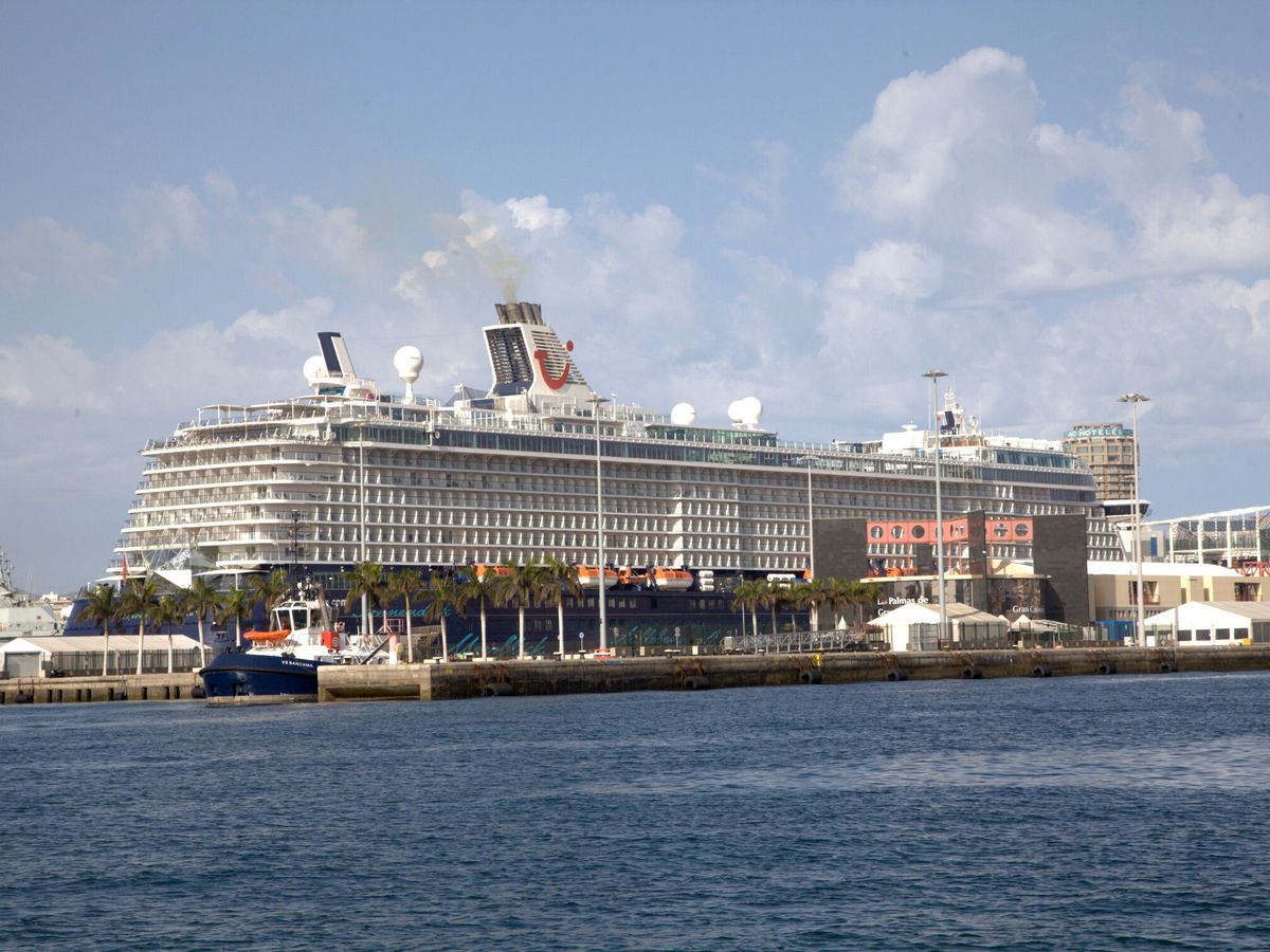 Foto: El turismo de cruceros genera un gran debate. (EFE/ Puertos del Estado)