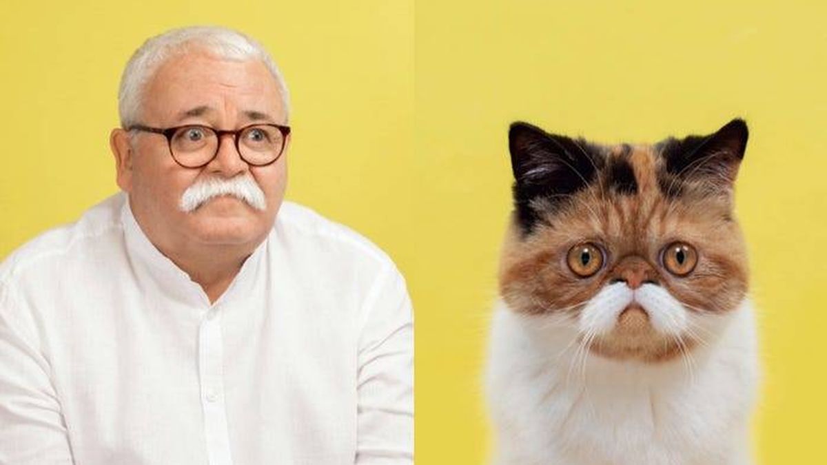 Este fotógrafo revela lo parecido que son los gatos a sus dueños