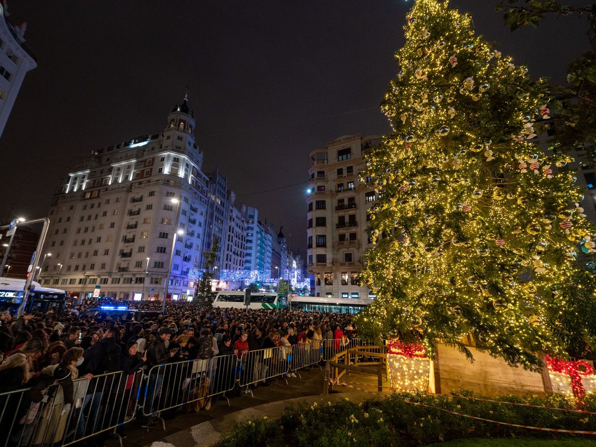 Foto: El árbol de Navidad colocado en la Plaza de España. (EFE/Fernando Villar) 