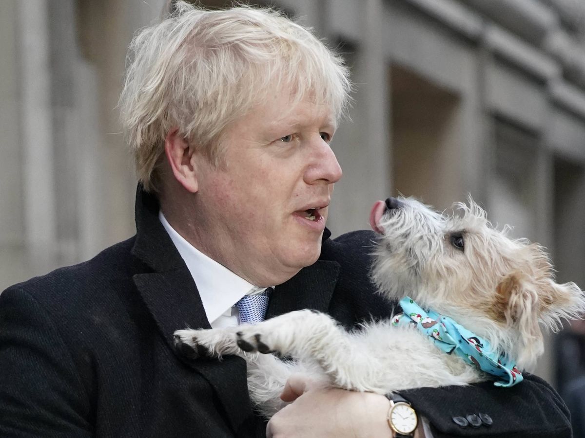 Foto:  Boris Johnson y Dilyn. (Getty)