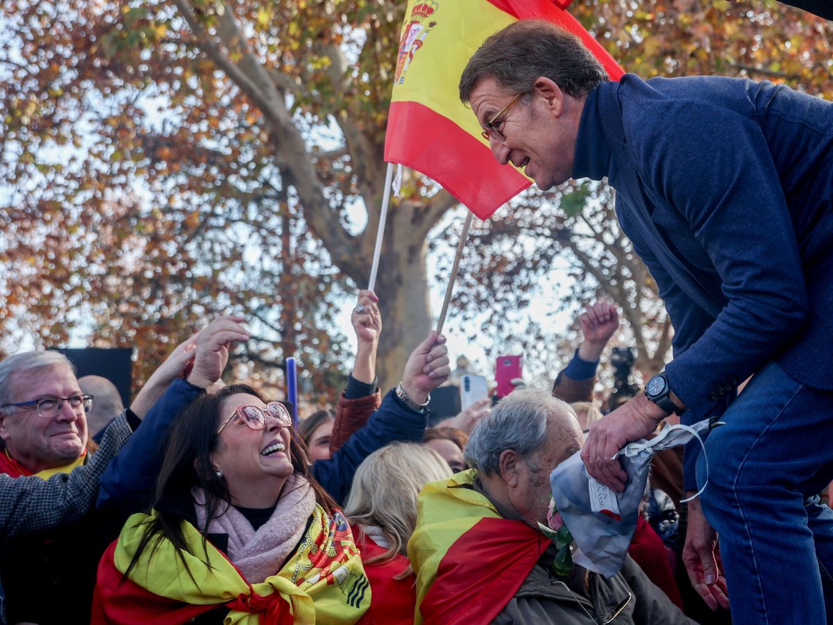 Foto: Feijóo, en la protesta de este domingo. (Europa Press/Ricardo Rubio)
