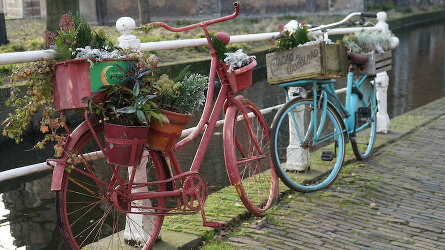 La cultura ciclista holandesa es un aspecto profundamente arraigado y celebrado de la vida cotidiana. (Imane Rachidi)