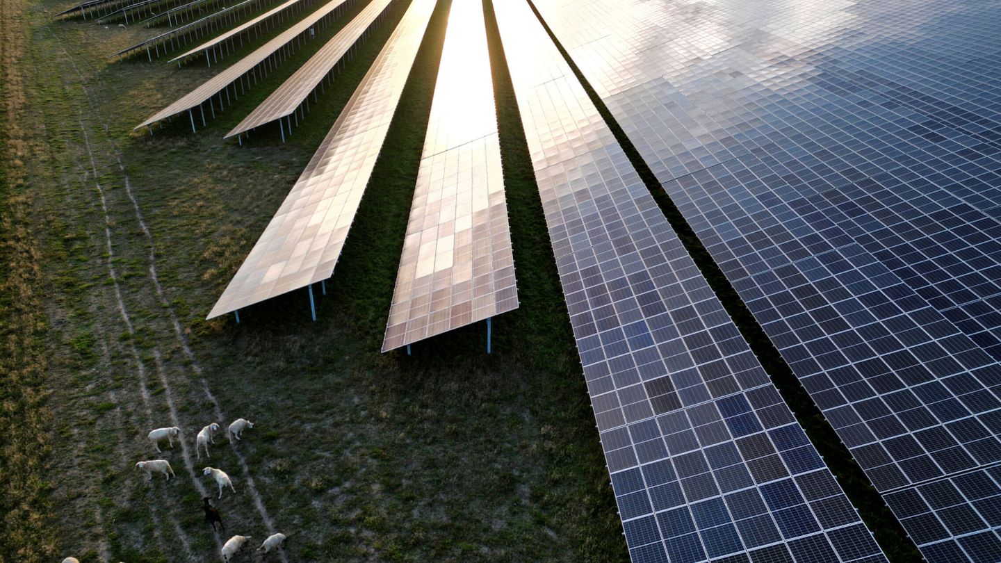 Una planta fotovoltaica. (Reuters/Lisi Niesner)