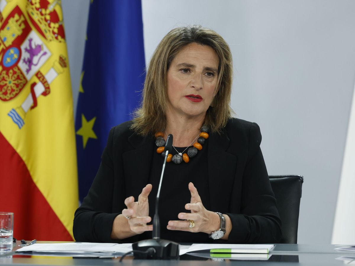 Foto: La ministra para la Transición Ecológica, Teresa Ribera. (EFE/J.J. Guillén)