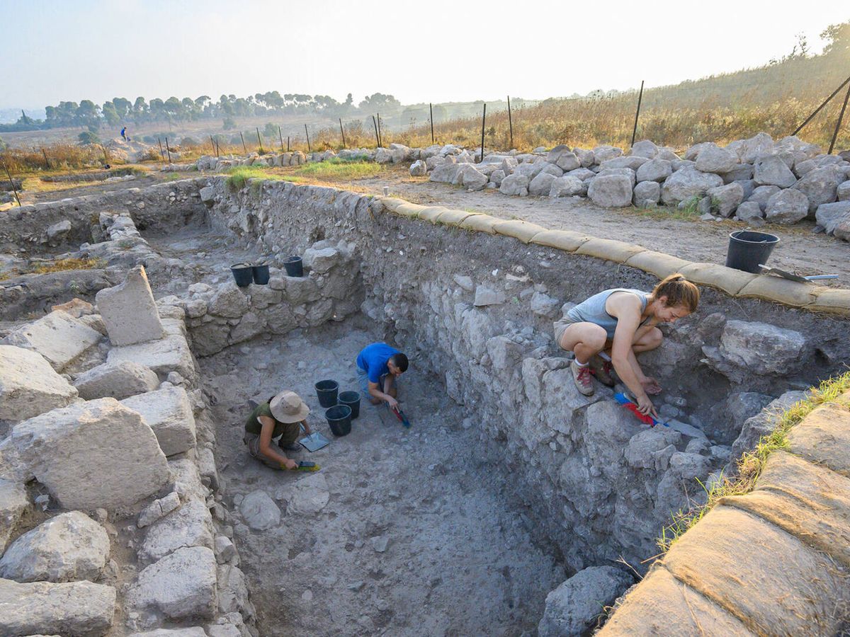 Foto: Arqueólogos excavando en el yacimiento de Tel Shimron en Israel. (Tel Shimron Excavations)