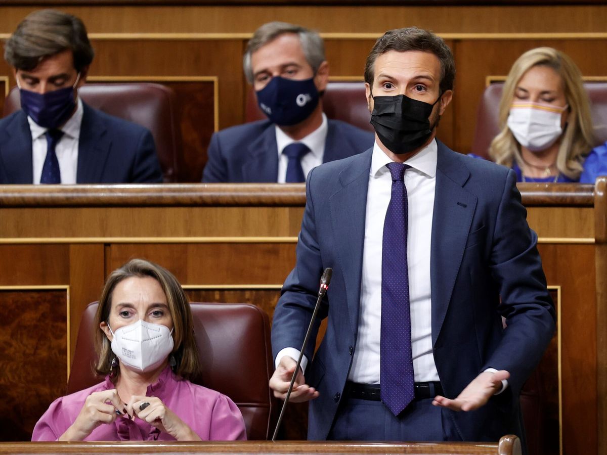 Foto: El líder del Partido Popular, Pablo Casado (d), interviene durante la sesión de control al Gobierno celebrada este miércoles en el Congreso. (EFE)