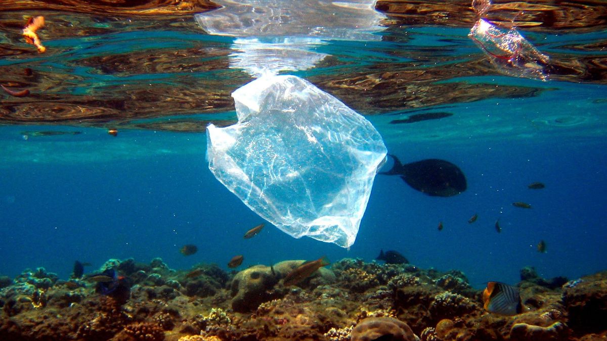 Alemania prohíbe el uso de bolsas de plástico desechables a partir de 2022