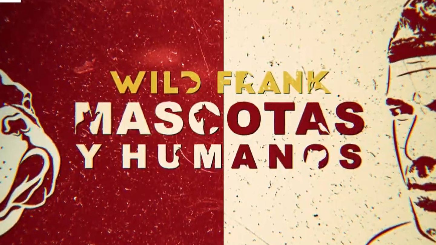 Logo de 'Wild Frank: mascotas y humanos'. (DMAX)
