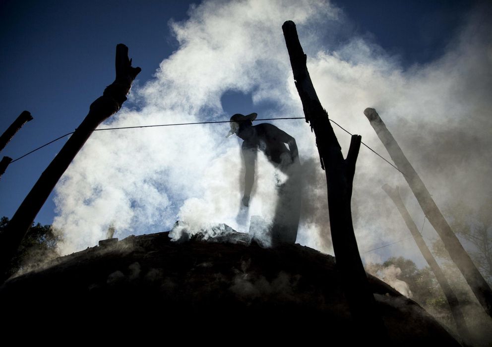 Foto: Un trabajador quema madera para hacer carbón vegetal. (EFE)