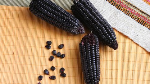 Las cualidades antioxidantes que debes conocer del maíz azul