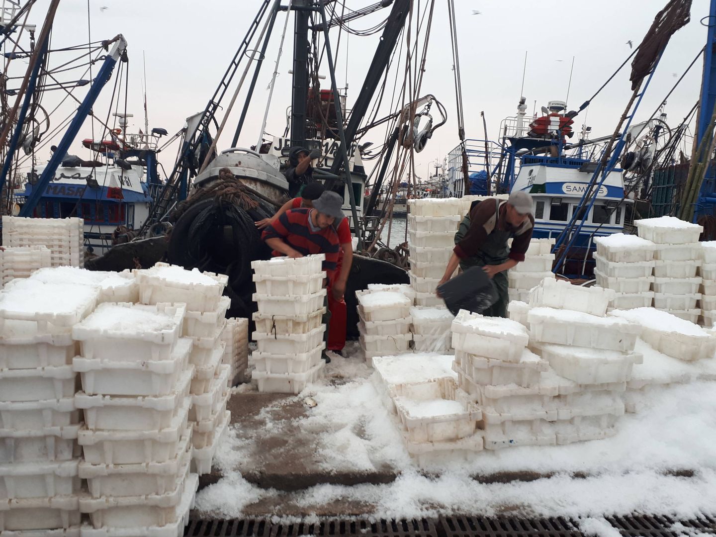 La pesca genera unos 40.000 empleos en la región de Dakhla. (M.V)