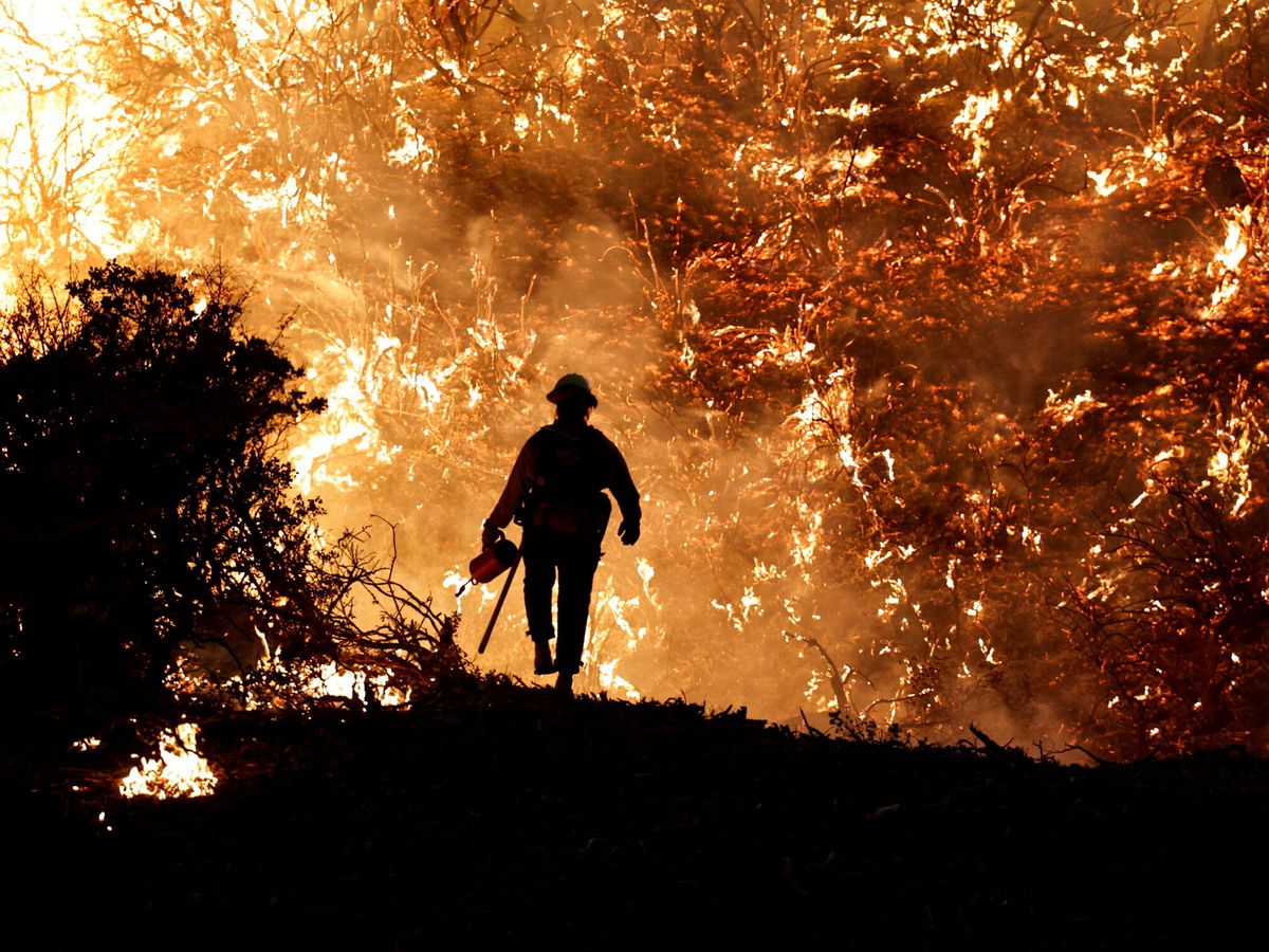 Foto: El distanciamiento entre árboles tiene una repercusión en la supervivencia de un bosque frente al fuego. (Reuters/Fred Greaves)