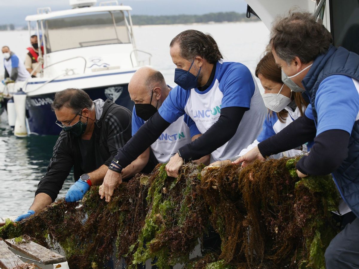 Foto:  "El florecimiento del fitoplancton en esta región no tiene precedentes en los 22 años de registro" (EFE/Lavandeira)
