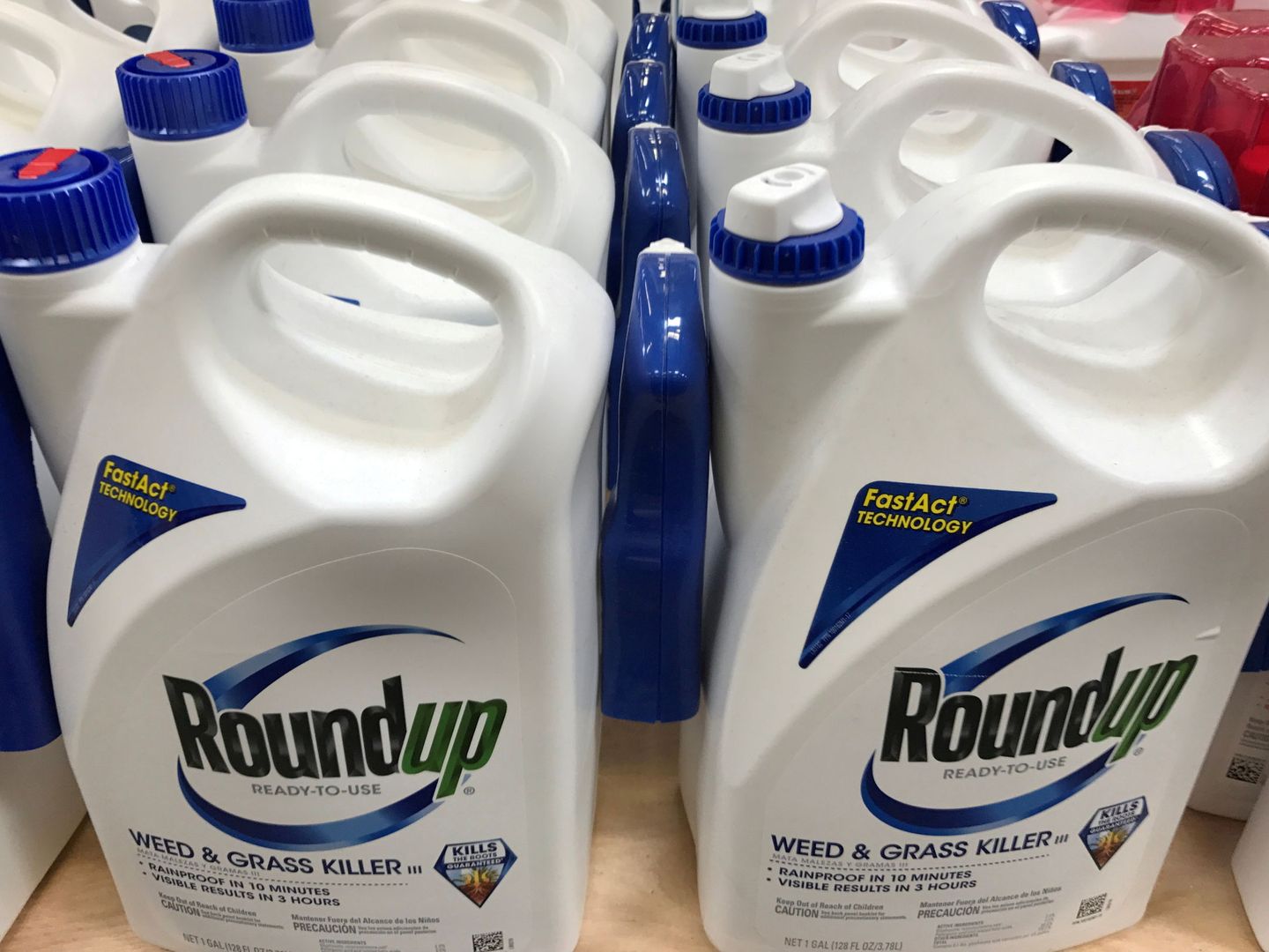 Botellas de herbicida de Monsanto, basado en el Glifosato. Foto: Reuters/Mike Blake)
