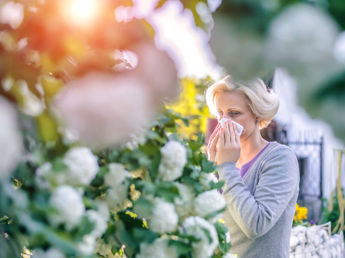 Foto: Las alergias no paran de crecer. (iStock)