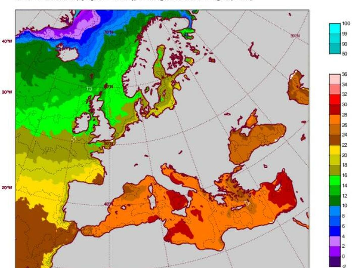 Foto: Estos gráficos muestran la temperatura de la superficie del mar. (ECMWF)