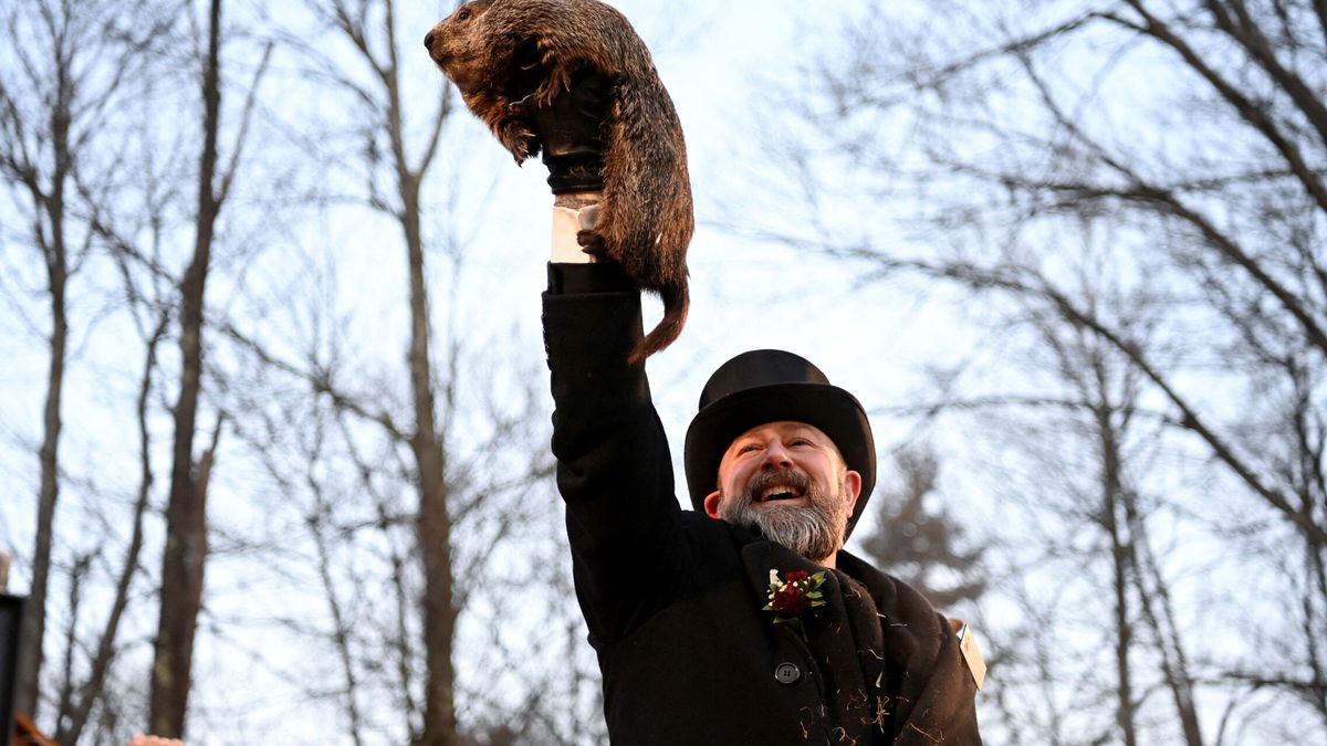La marmota Phil "predice" en la tradicional ceremonia seis semanas más de invierno en EEUU