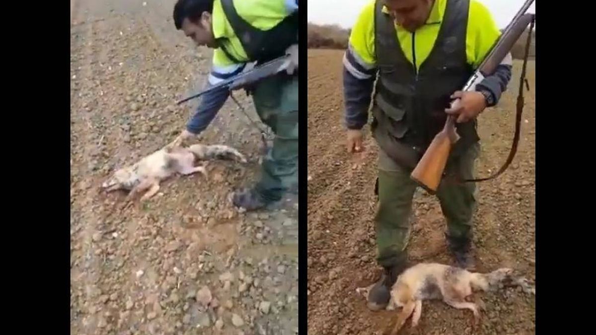 Se busca a un cazador que golpea y patea hasta la muerte a un zorro