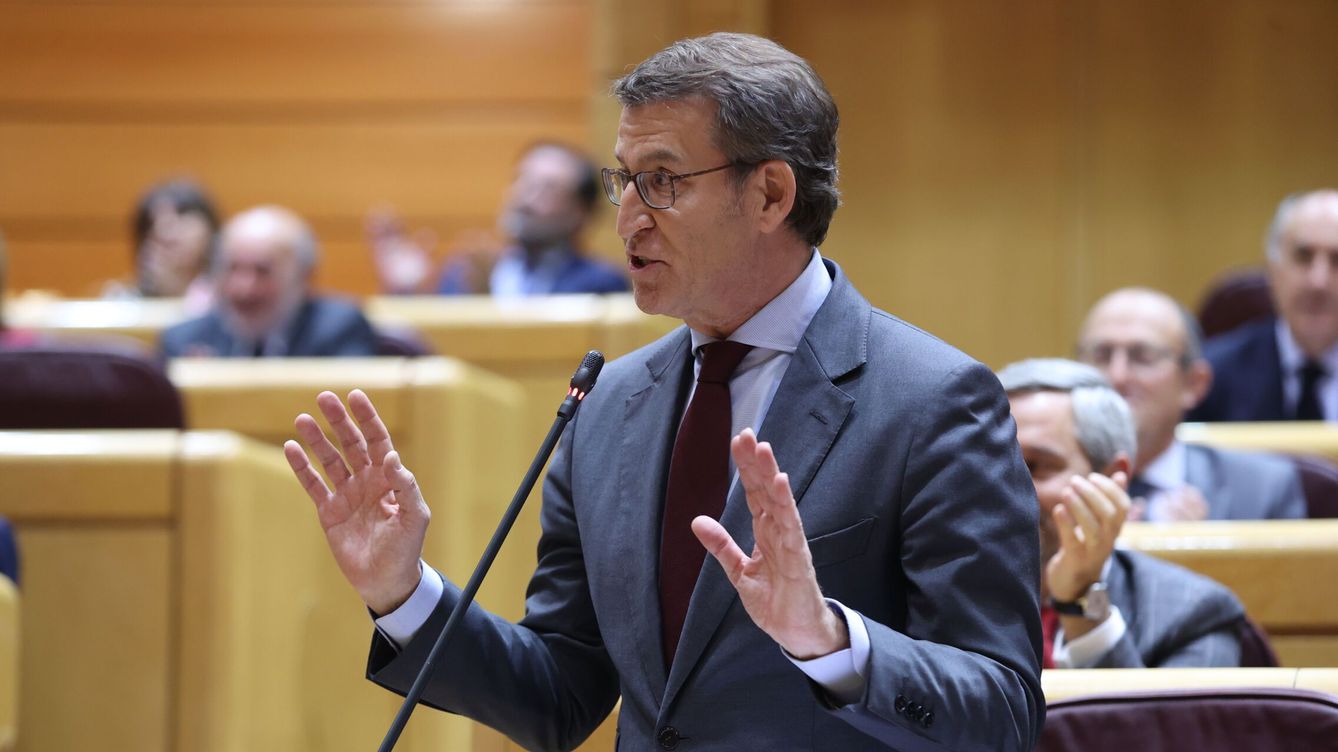 Foto: El líder del PP, Alberto Núñez Feijóo. (EFE/Kiko Huesca)