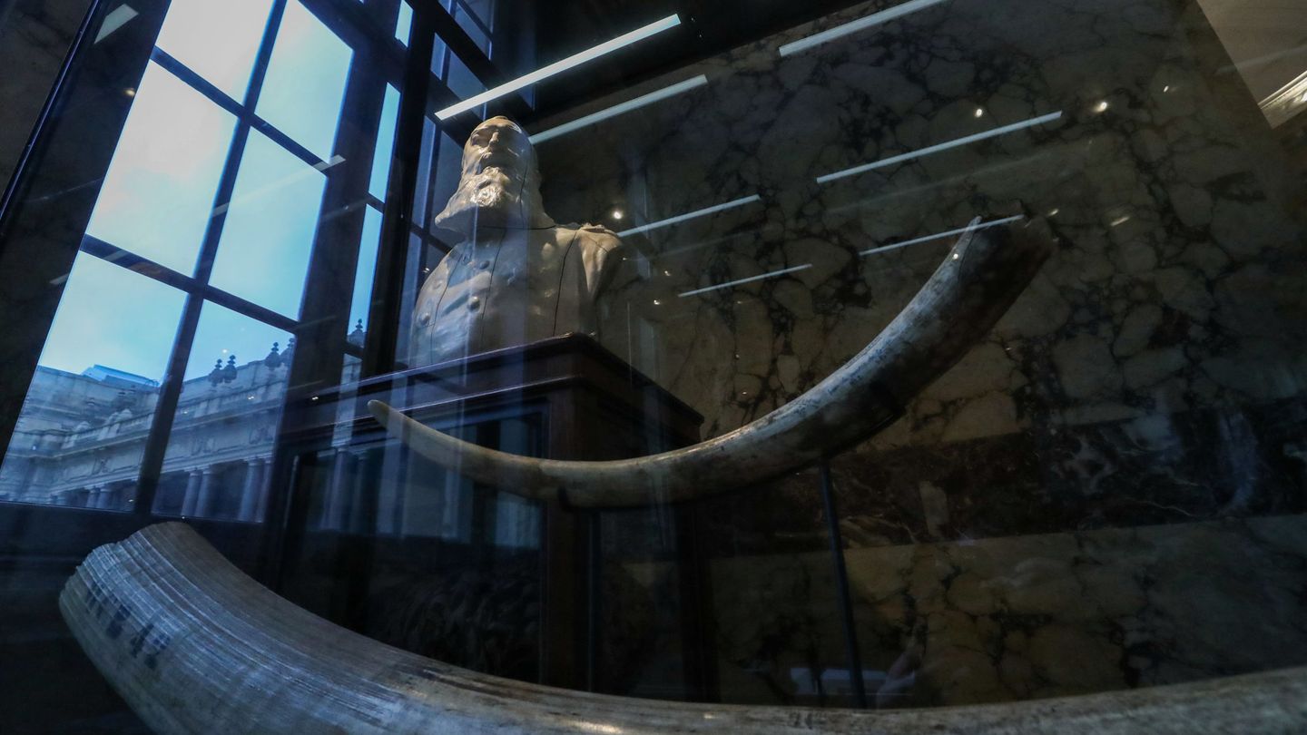 Una estatua del rey Leopoldo en el Museo de África de Tervuren, Bélgica. (Reuters)